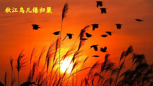 部编版现代诗二首上课课件-PPT1