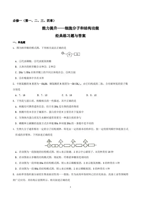 高一生物下学期期末复习必刷经典题(必修1)——细胞分子和结构功能(能力提升)