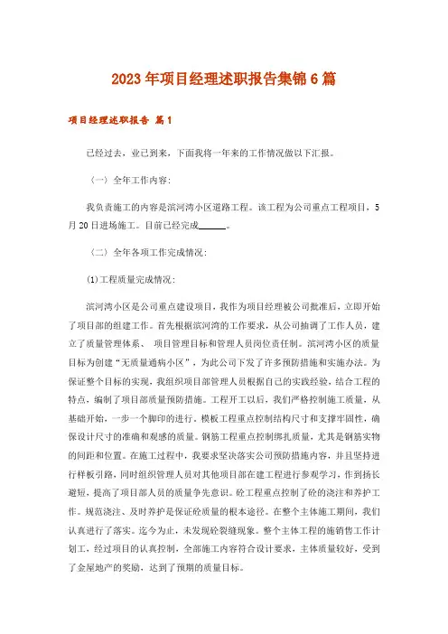 2023年项目经理述职报告集锦6篇