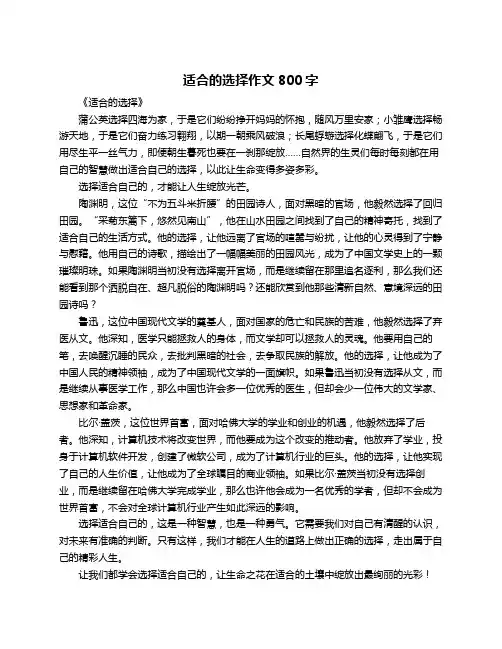 适合的选择作文800字