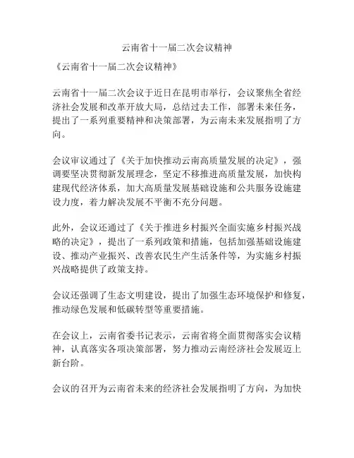 云南省十一届二次会议精神