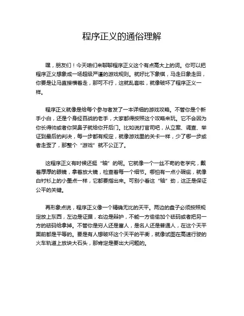 程序正义的通俗理解