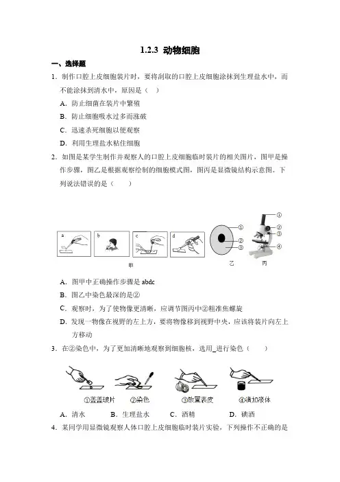 生物人教版(2024)版七年级上册1.2.3 动物细胞 课时练 含答案03