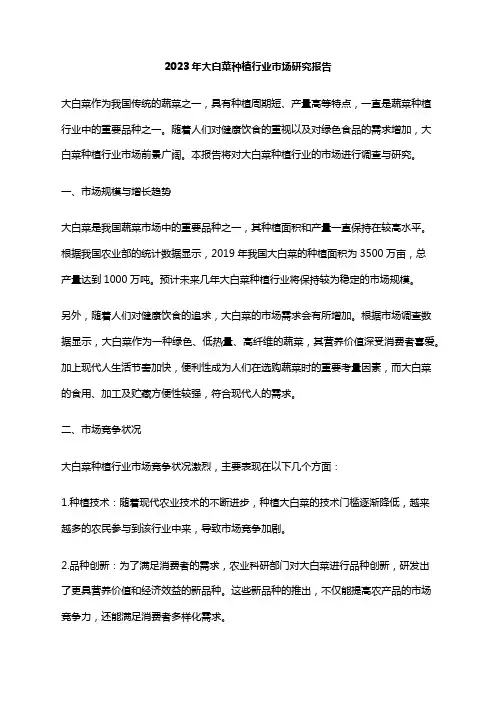 2023年大白菜种植行业市场研究报告