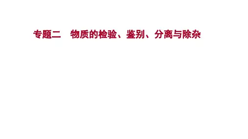 备战 中考化学 专题二 物质的检验、鉴别、分离与除杂 课件(宁夏版)