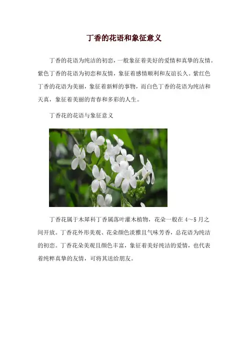 丁香的花语和象征意义