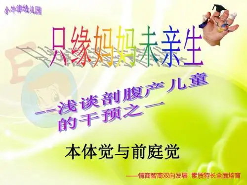 加了图片的浅谈幼儿本体觉和平衡觉