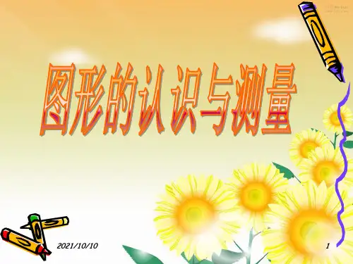 小学六年级下册数学总复习《图形的认识与测量》课件