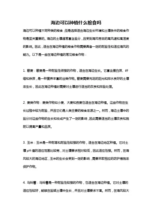 海边可以种植什么粮食吗