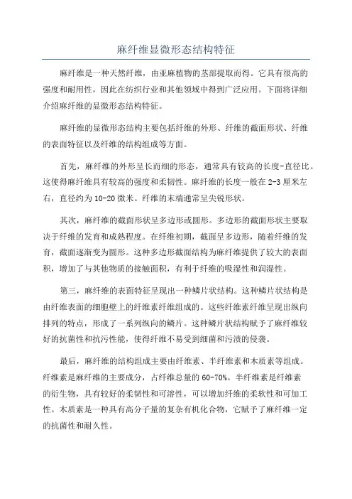 麻纤维显微形态结构特征