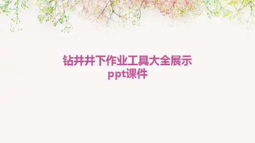 钻井井下作业工具大全展示ppt课件