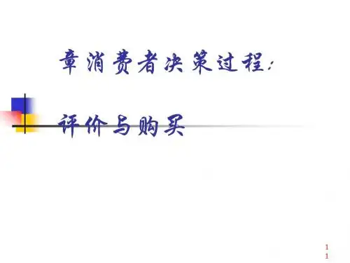 消费者决策过程评价与购买(PPT 47张)