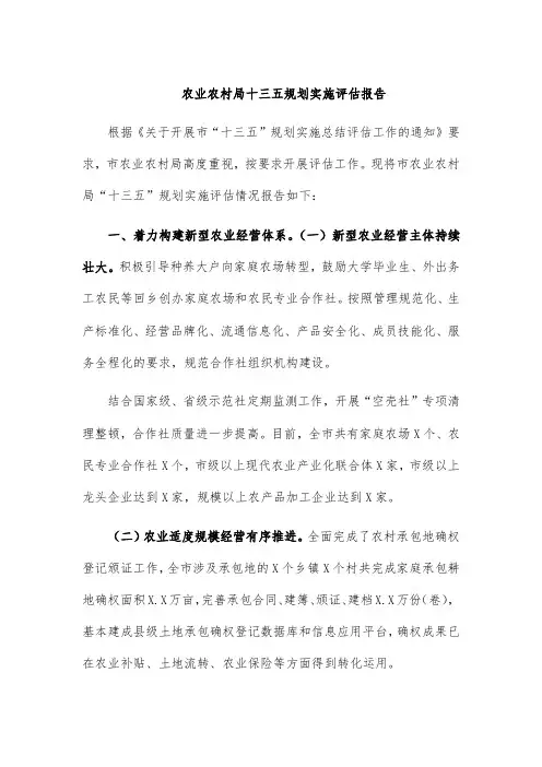农业农村局十三五规划实施评估报告