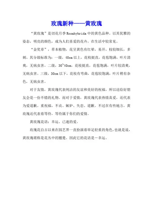 玫瑰新种——黄玫瑰
