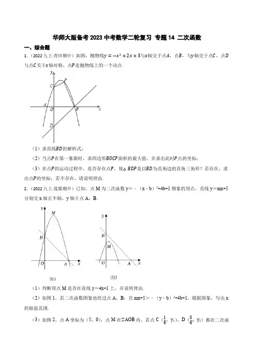 2023年华东师大版备考 中考数学二轮复习 专题14 二次函数 