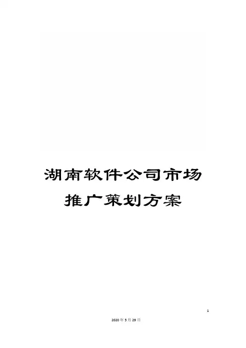 湖南软件公司市场推广策划方案