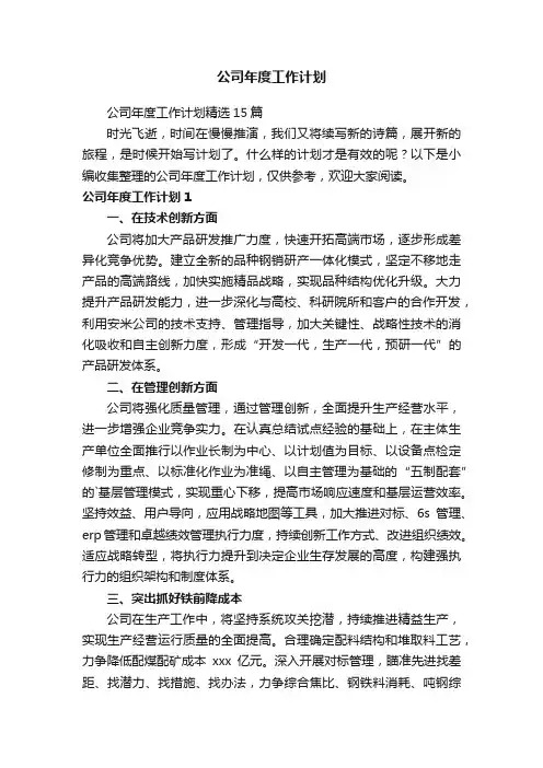 公司年度工作计划