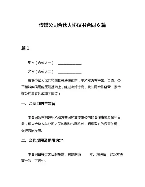 传媒公司合伙人协议书合同6篇