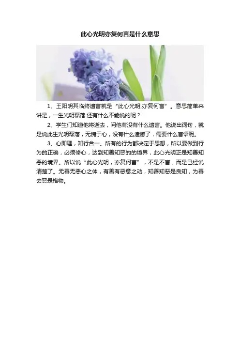 此心光明亦复何言是什么意思