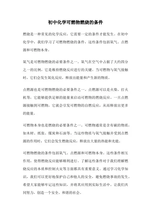 初中化学可燃物燃烧的条件