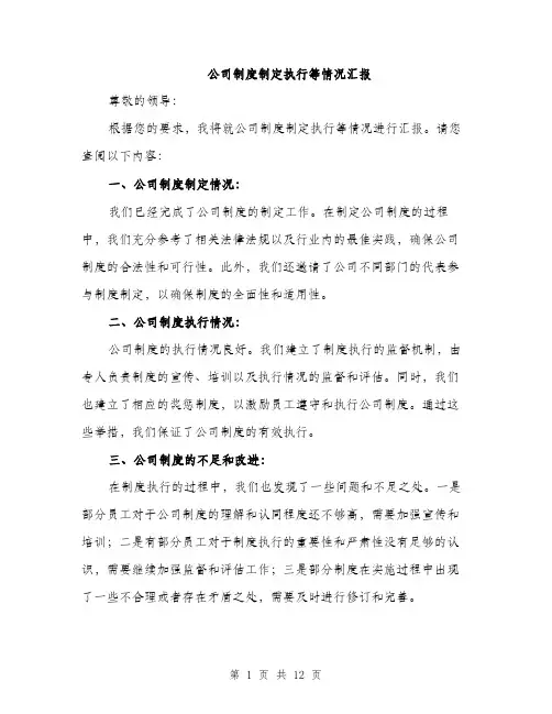 公司制度制定执行等情况汇报（4篇）