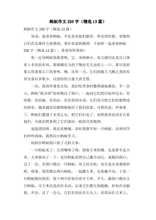 蚂蚁作文250字(13篇)