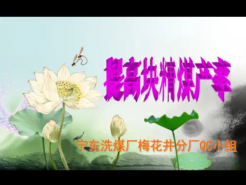 提高块精煤产率PPT课件