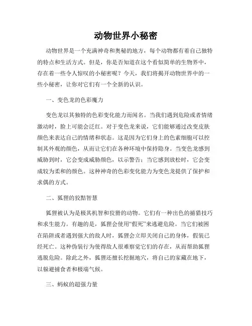 动物世界小秘密