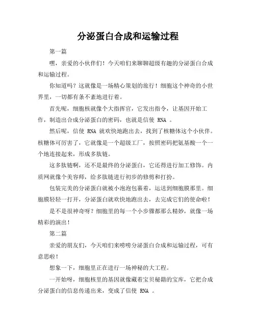 分泌蛋白合成和运输过程