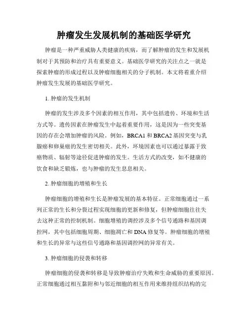肿瘤发生发展机制的基础医学研究