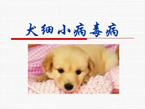 【PPT培训课件】犬细小病毒病