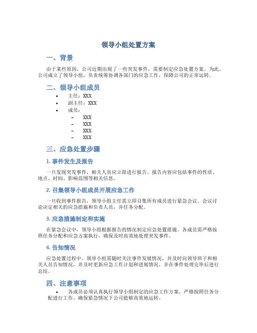 领导小组处置方案