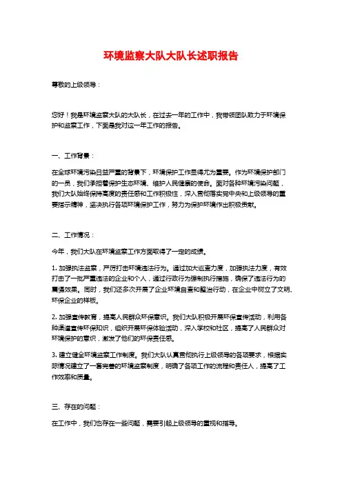 环境监察大队大队长述职报告