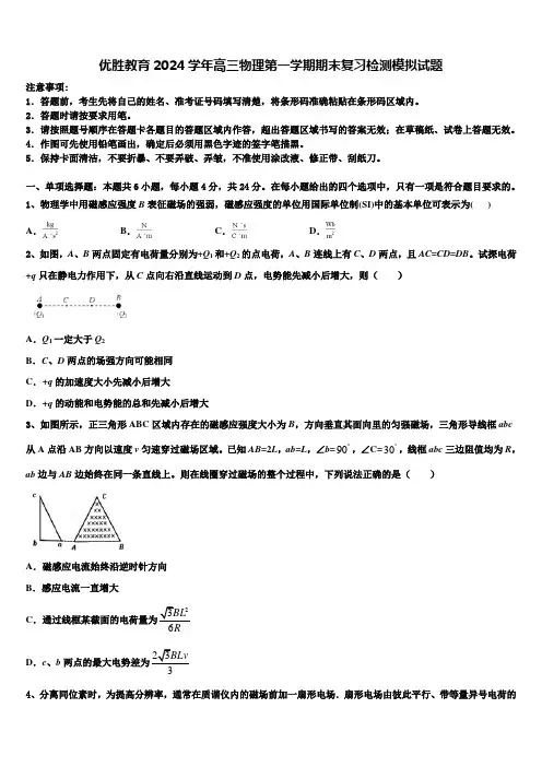 优胜教育2024学年高三物理第一学期期末复习检测模拟试题含解析