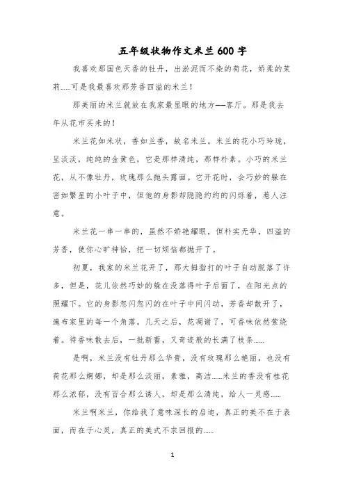 五年级状物作文米兰600字