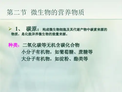 食品微生物学PPT课件