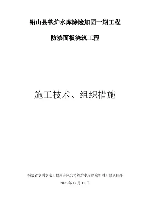 防渗面板施工技术方案