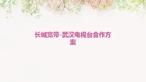 长城宽带-武汉电视台合作方案