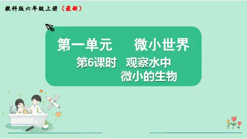 教科版六年级科学上册第一单元第6课时  观察水中微小的生物  教学课件