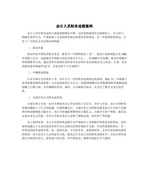 会计人员财务造假案例