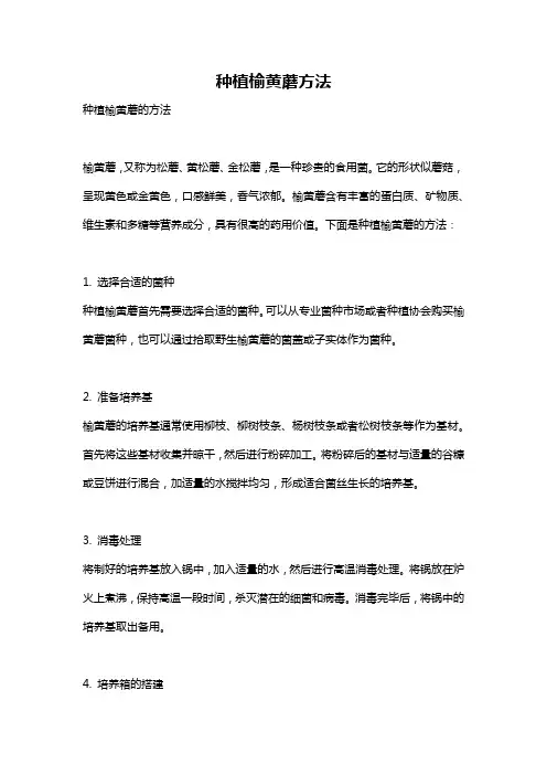 种植榆黄蘑方法