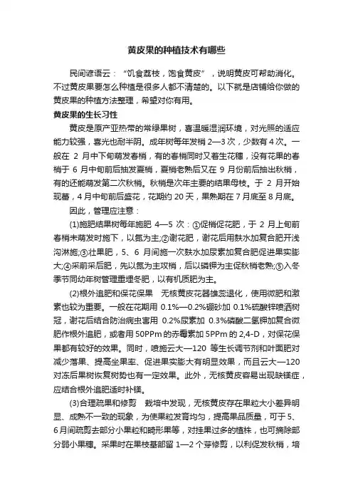 黄皮果的种植技术有哪些