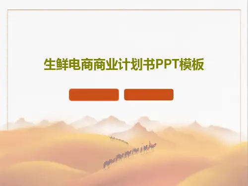 生鲜电商商业计划书PPT模板18页PPT