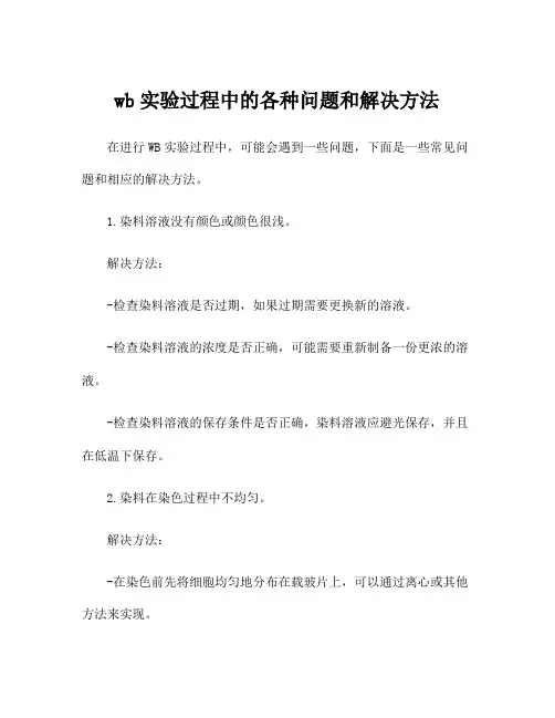 wb实验过程中的各种问题和解决方法