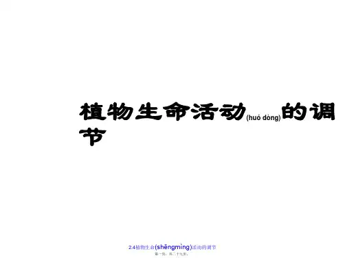 2.4植物生命活动的调节(共29张PPT)