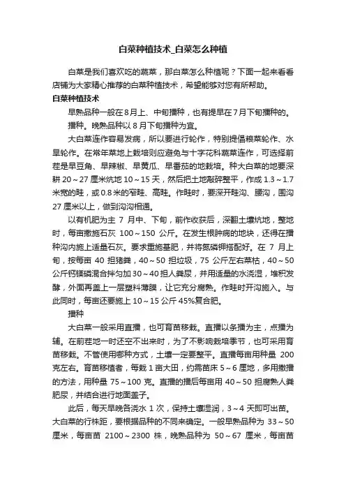 白菜种植技术_白菜怎么种植