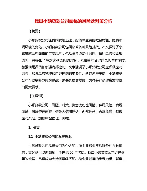 我国小额贷款公司面临的风险及对策分析