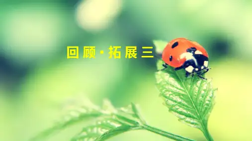 部编版(统编)小学语文四年级上册第三单元《回顾·拓展三》教学课件PPT