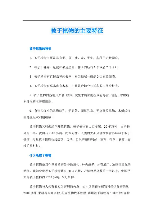 被子植物的主要特征