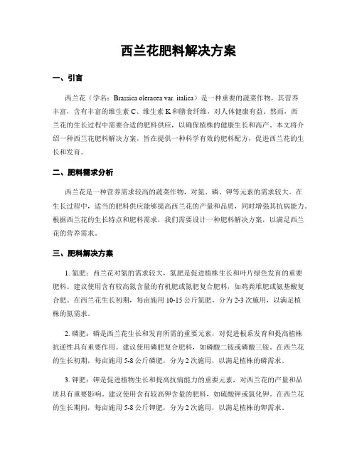 西兰花肥料解决方案